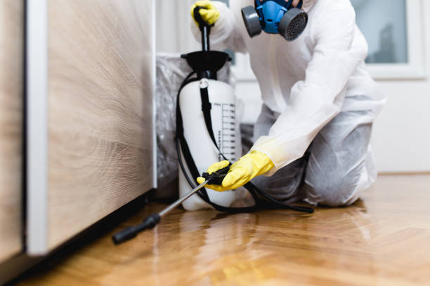 Best Best Pest Control Companies  in Elberton, GA