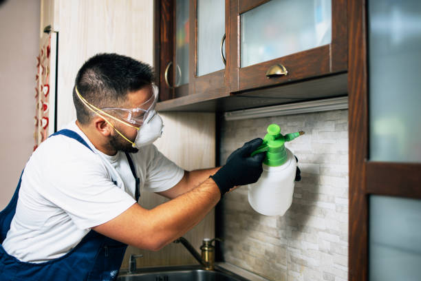 Best Rat Extermination Near Me  in Elberton, GA