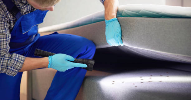 Professional Pest Control in Elberton, GA