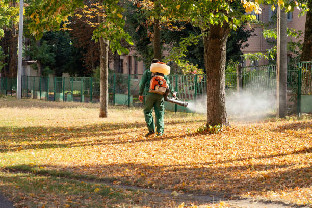 Pest Prevention Services in Elberton, GA