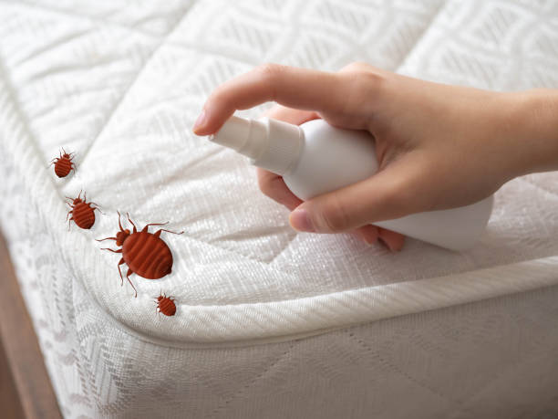 Best Best Pest Control Companies  in Elberton, GA