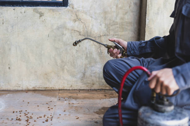 Best Pest Prevention Services  in Elberton, GA